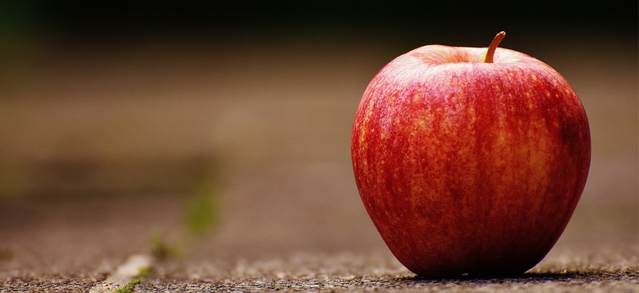 Here’s to a healthy 2026