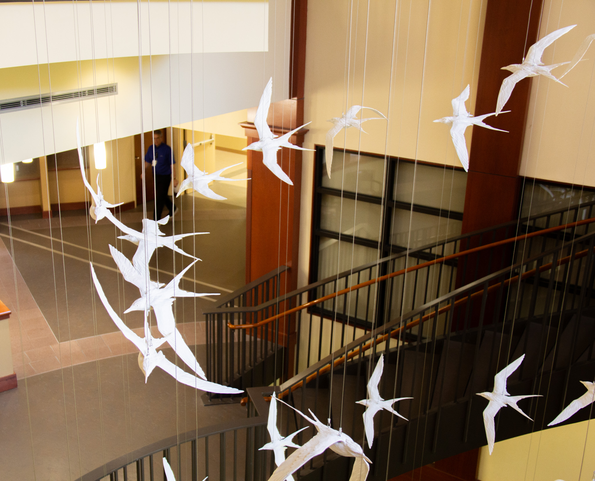 birds_3rdfloor_082023