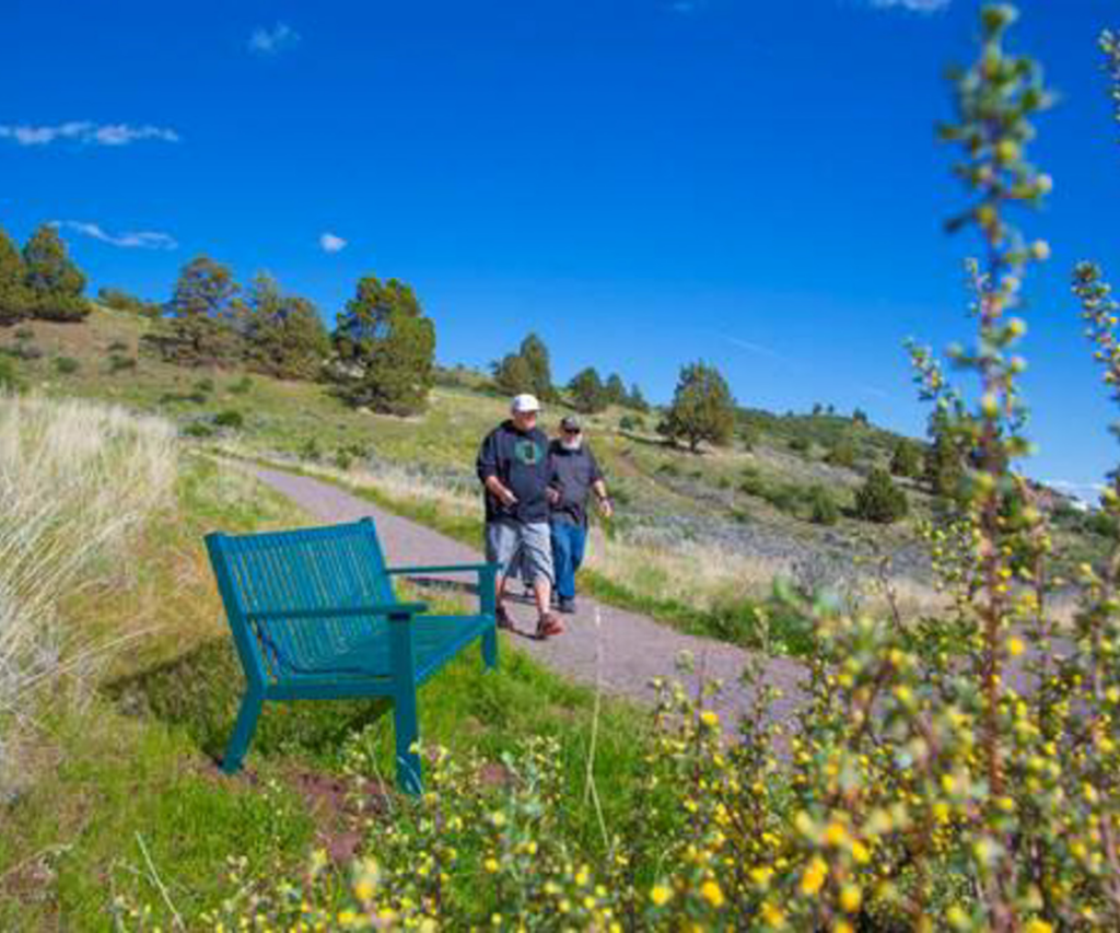 joint friendly walking