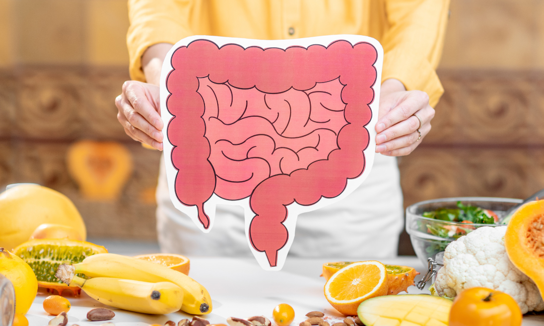 digestive gastro canva stock